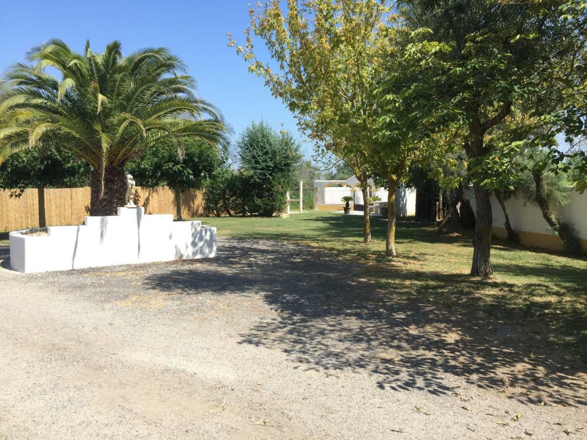 El Rocio 1 Gites Equestre แซ็งต์-มารี-เดอ-ลา-แมร์ ภายนอก รูปภาพ